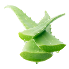 Ingredient background